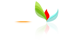 Bangun Cakra Wangsa Solutions